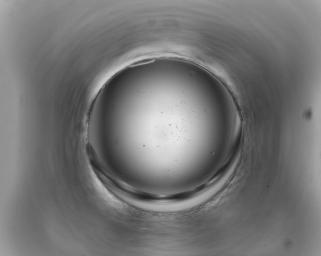 X0000091941524200709051512