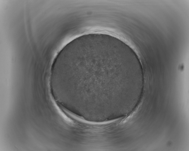 X0000091941525200709051512