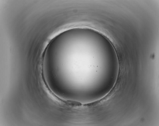 X0000091941526200709051512