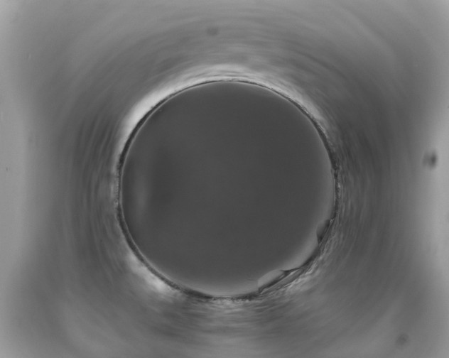 X0000091941527200709051512