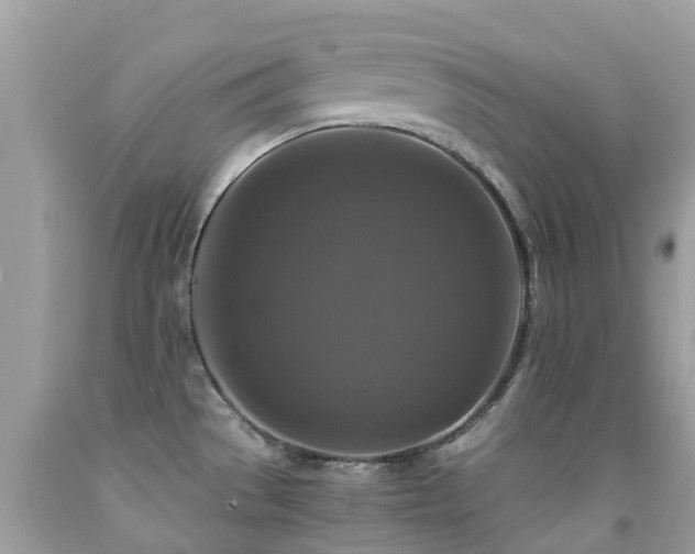 X0000091941529200709051512