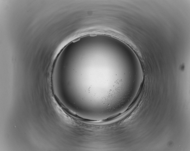 X0000091941530200709051512