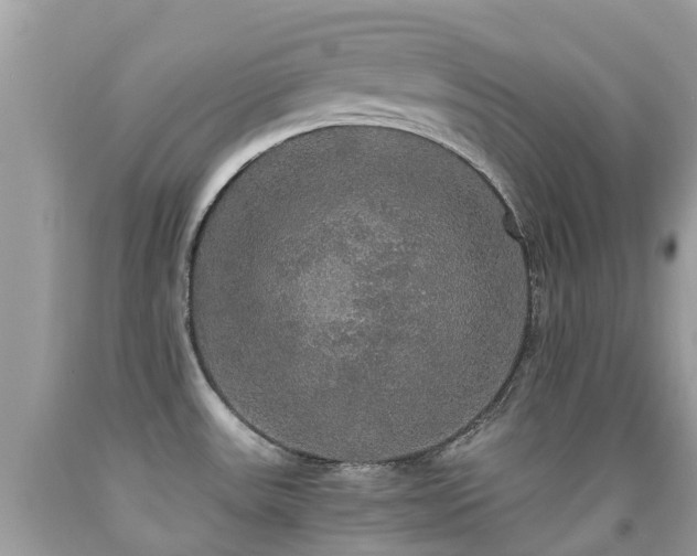 X0000091941531200709051512