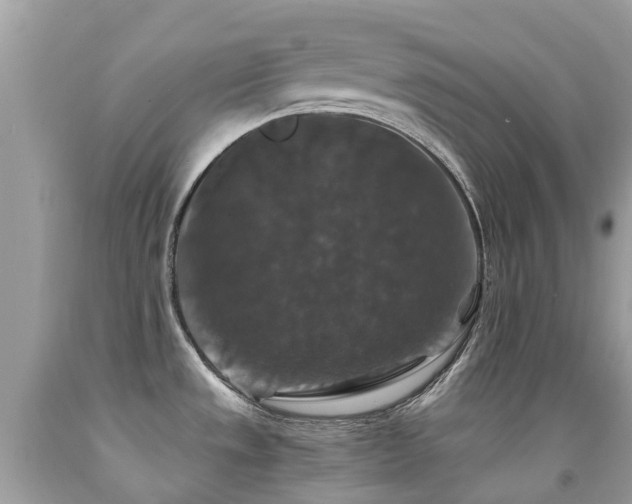 X0000091941533200709051512