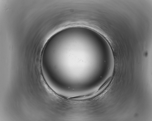 X0000091941534200709051512