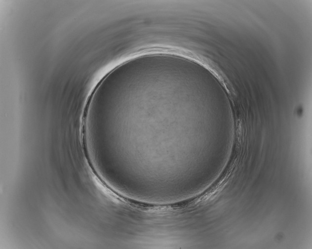 X0000091941535200709051512