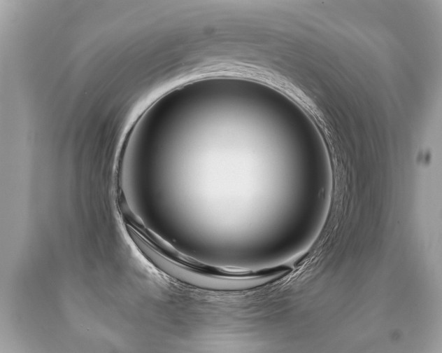 X0000091941536200709051512