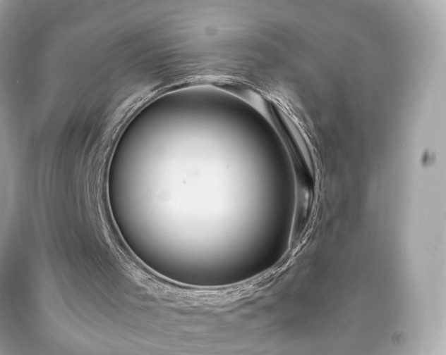 X0000091940001200709121628