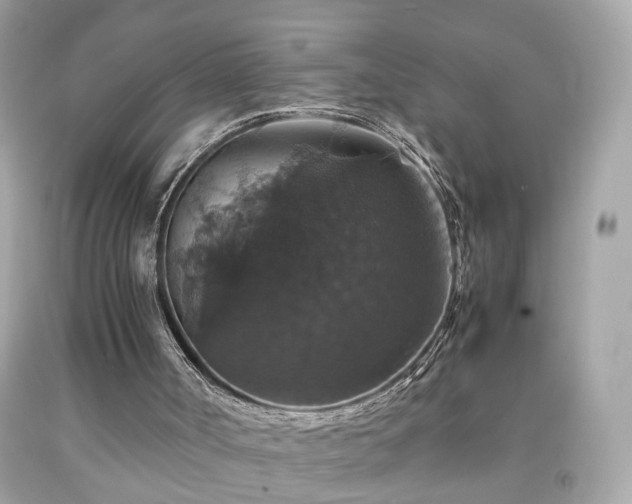 X0000091940002200709121628