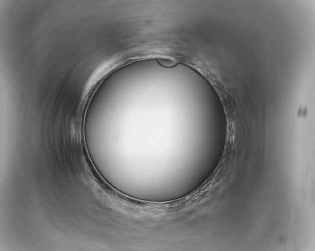 X0000091940004200709121628