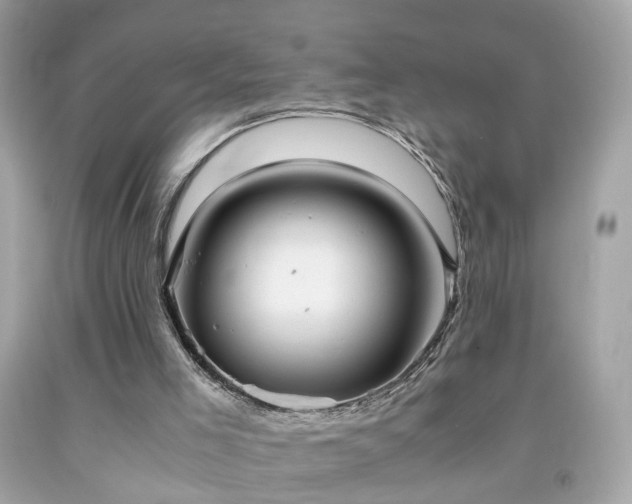 X0000091940005200709121628