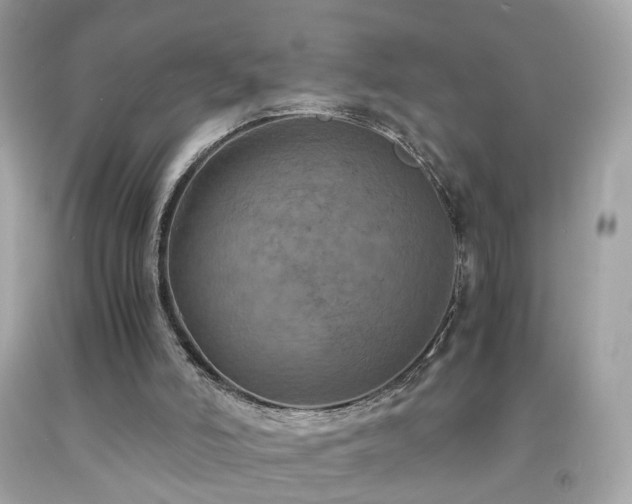 X0000091940006200709121628