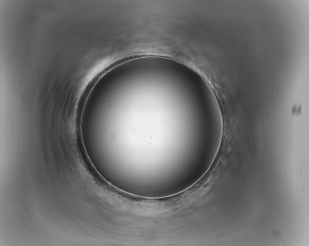 X0000091940008200709121628