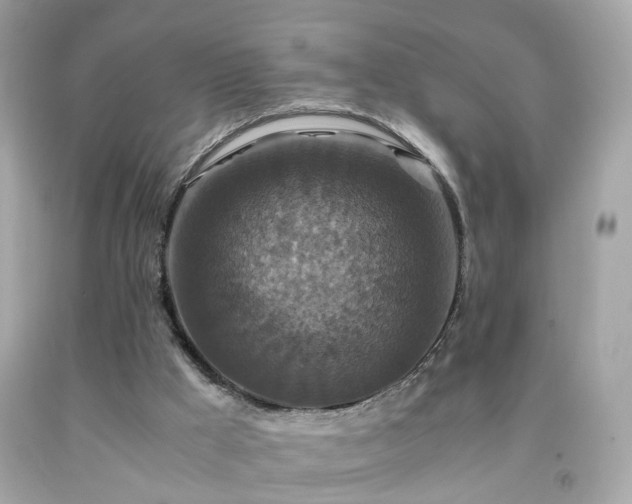 X0000091940009200709121628