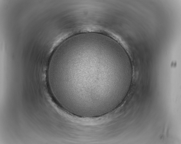 X0000091940010200709121628