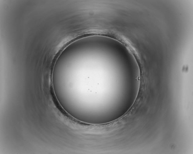 X0000091940011200709121628