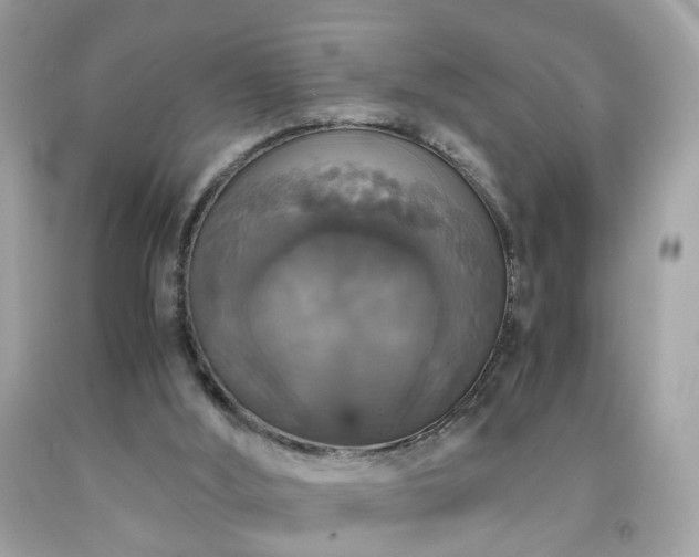 X0000091940012200709121628