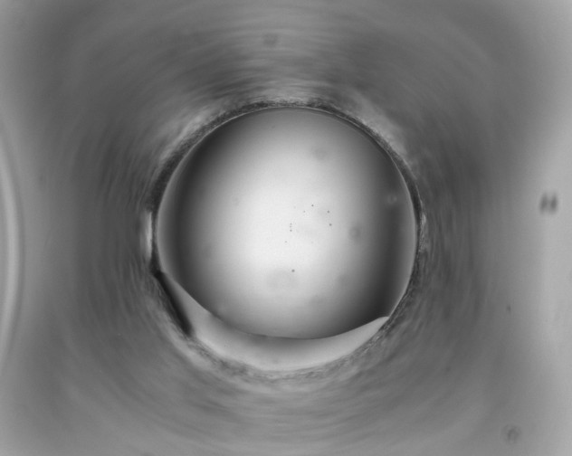 X0000091940013200709121628