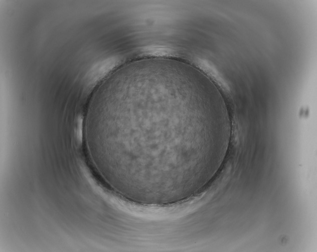 X0000091940014200709121628