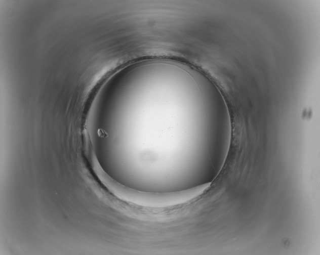 X0000091940015200709121628