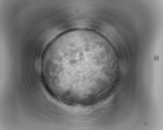 X0000091940016200709121628