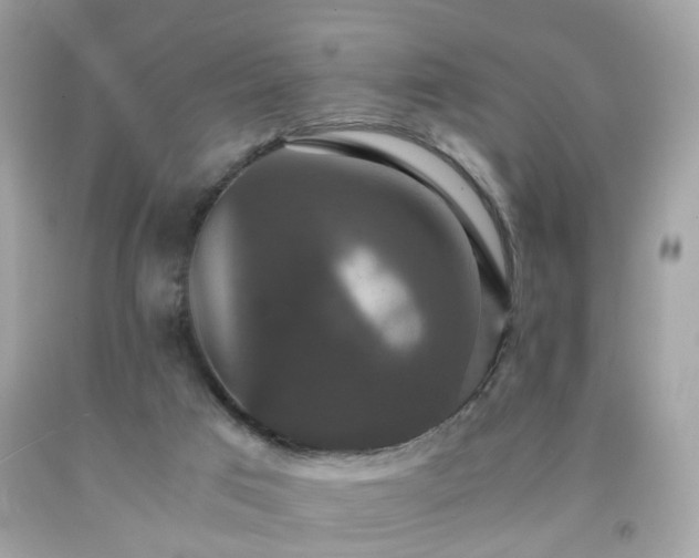 X0000091940017200709121628