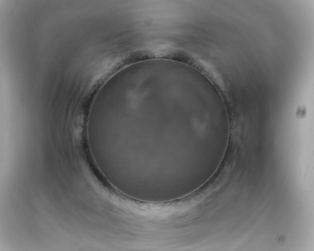 X0000091940018200709121628