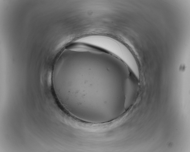 X0000091940019200709121628