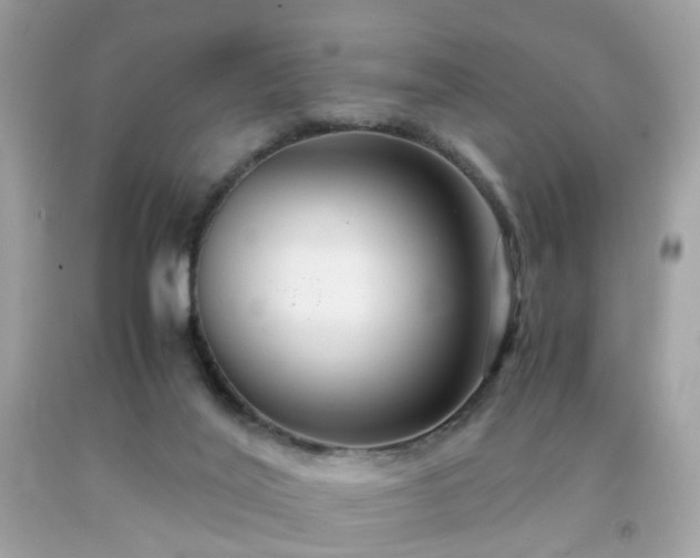 X0000091940020200709121628