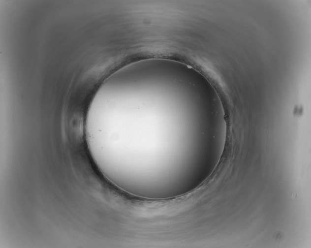 X0000091940021200709121628