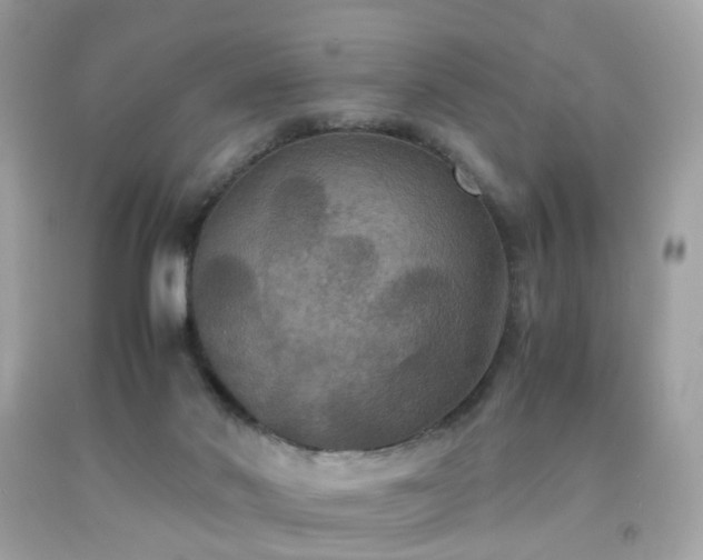 X0000091940022200709121628