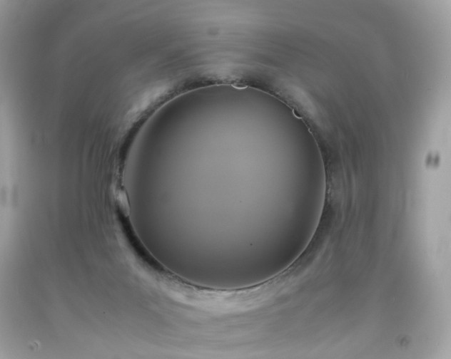 X0000091940023200709121628