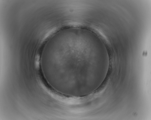 X0000091940024200709121628