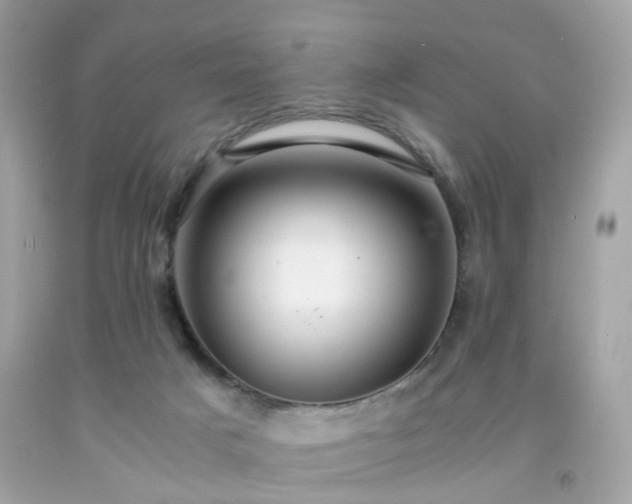 X0000091940025200709121628