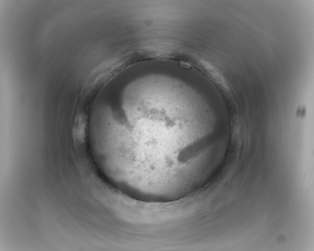 X0000091940026200709121628