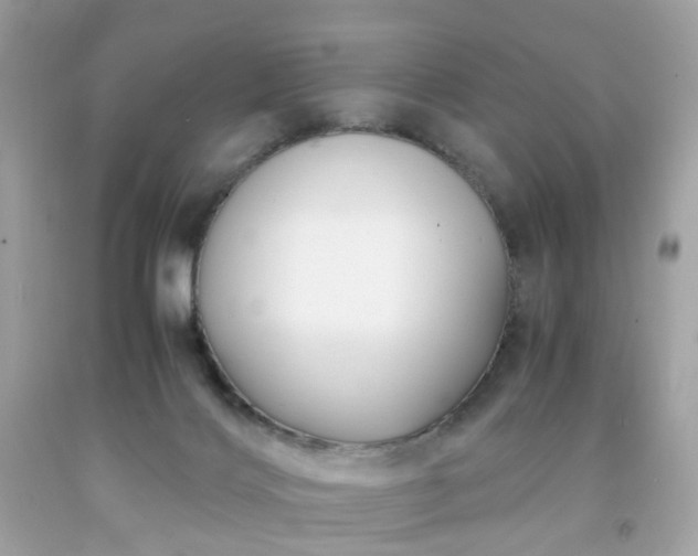 X0000091940028200709121628