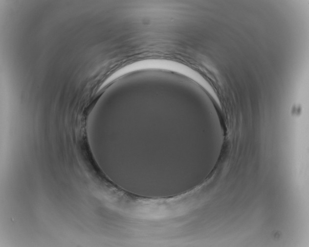 X0000091940029200709121628