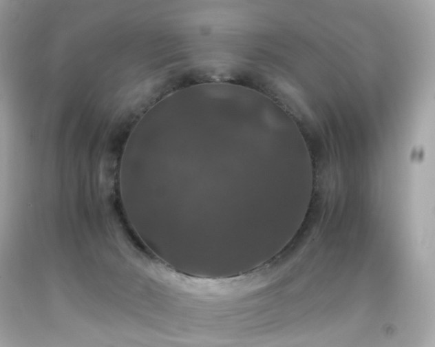 X0000091940030200709121628