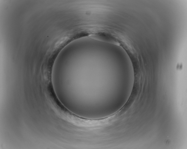 X0000091940031200709121628