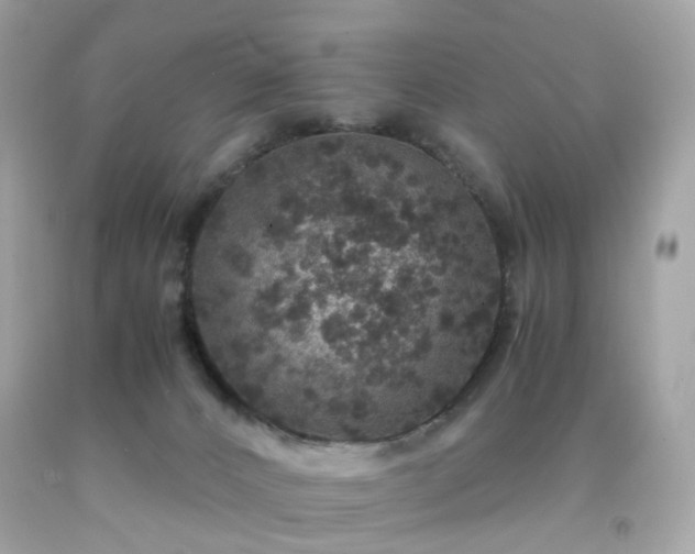 X0000091940032200709121628