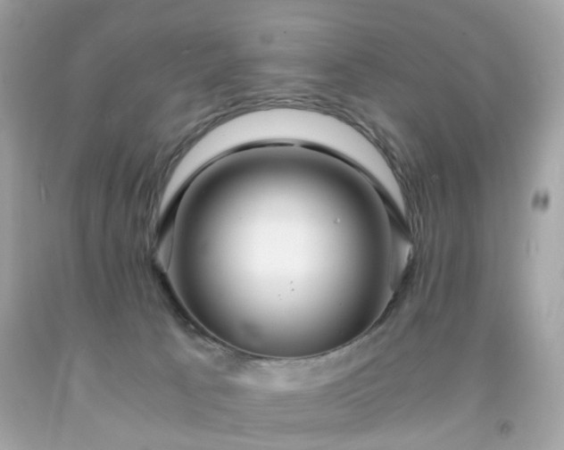 X0000091940033200709121628