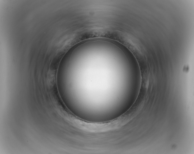 X0000091940034200709121628