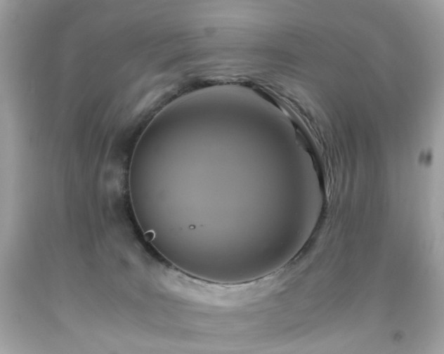 X0000091940035200709121628