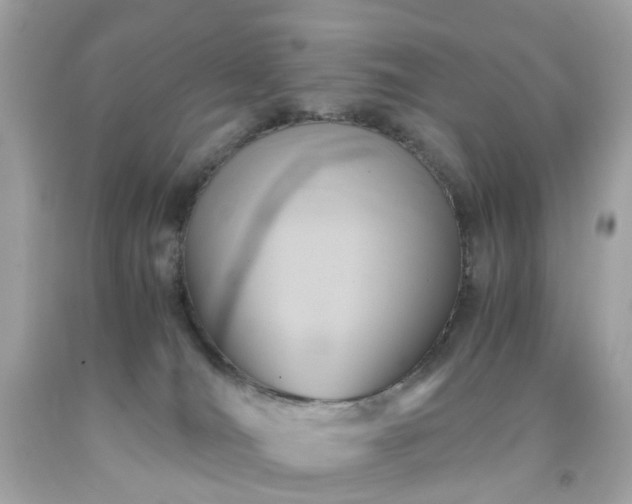 X0000091940036200709121628