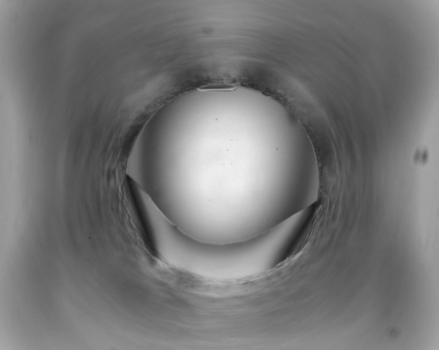 X0000091940037200709121628