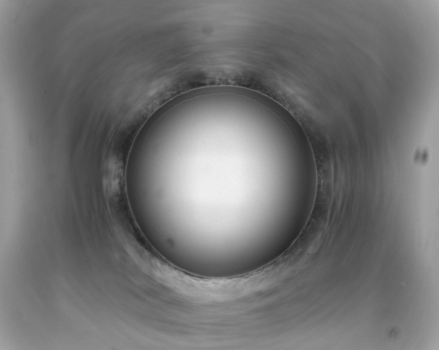 X0000091940038200709121628