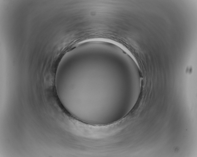 X0000091940039200709121628