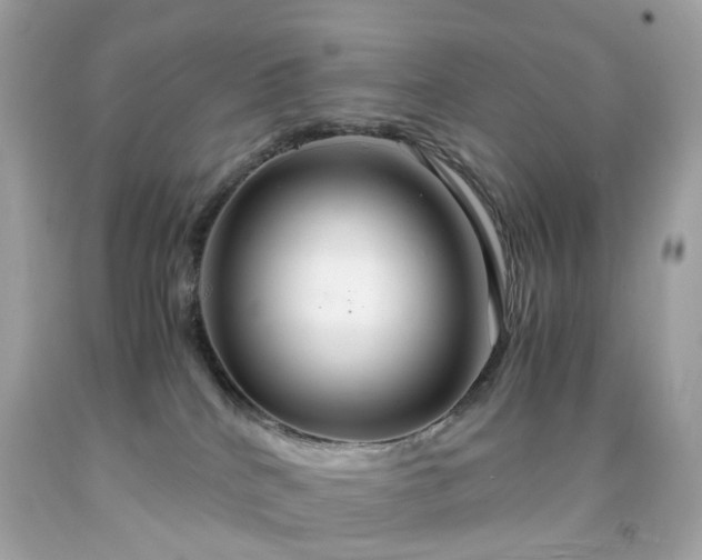 X0000091940040200709121628