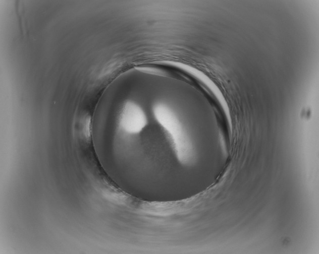 X0000091940041200709121628