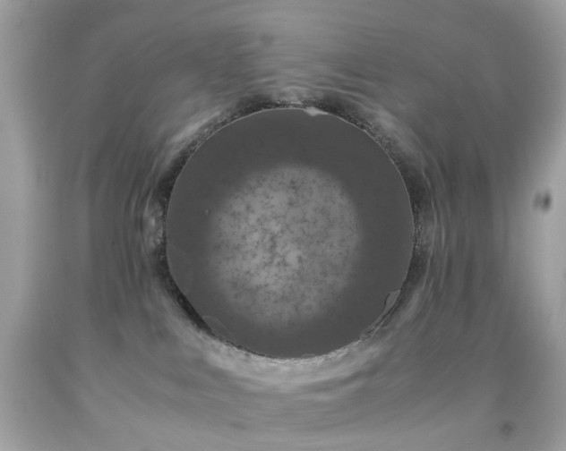 X0000091940043200709121628